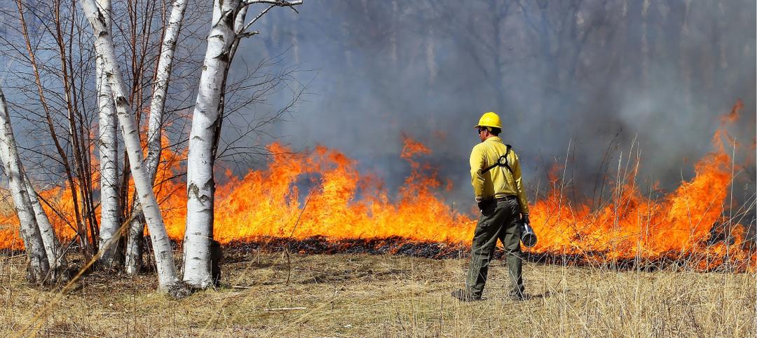 Firefighter overseeing a prescribed burn in a forest to reduce wildfire risk.